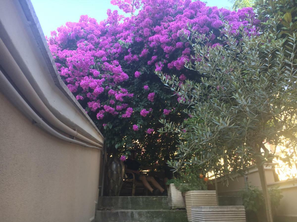 B&B La Bougainvillea Andria Zewnętrze zdjęcie